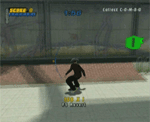 Tony Hawk's Pro Skater 4 (PS2) - Zoo: Goals 