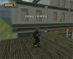 Tony Hawk's Pro Skater 4 (PS2) - Zoo: Goals 